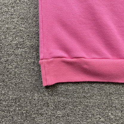 HELLSTAR BRAINWASHED WITHOUT BRAIN HOODIE PINK Status Shipping