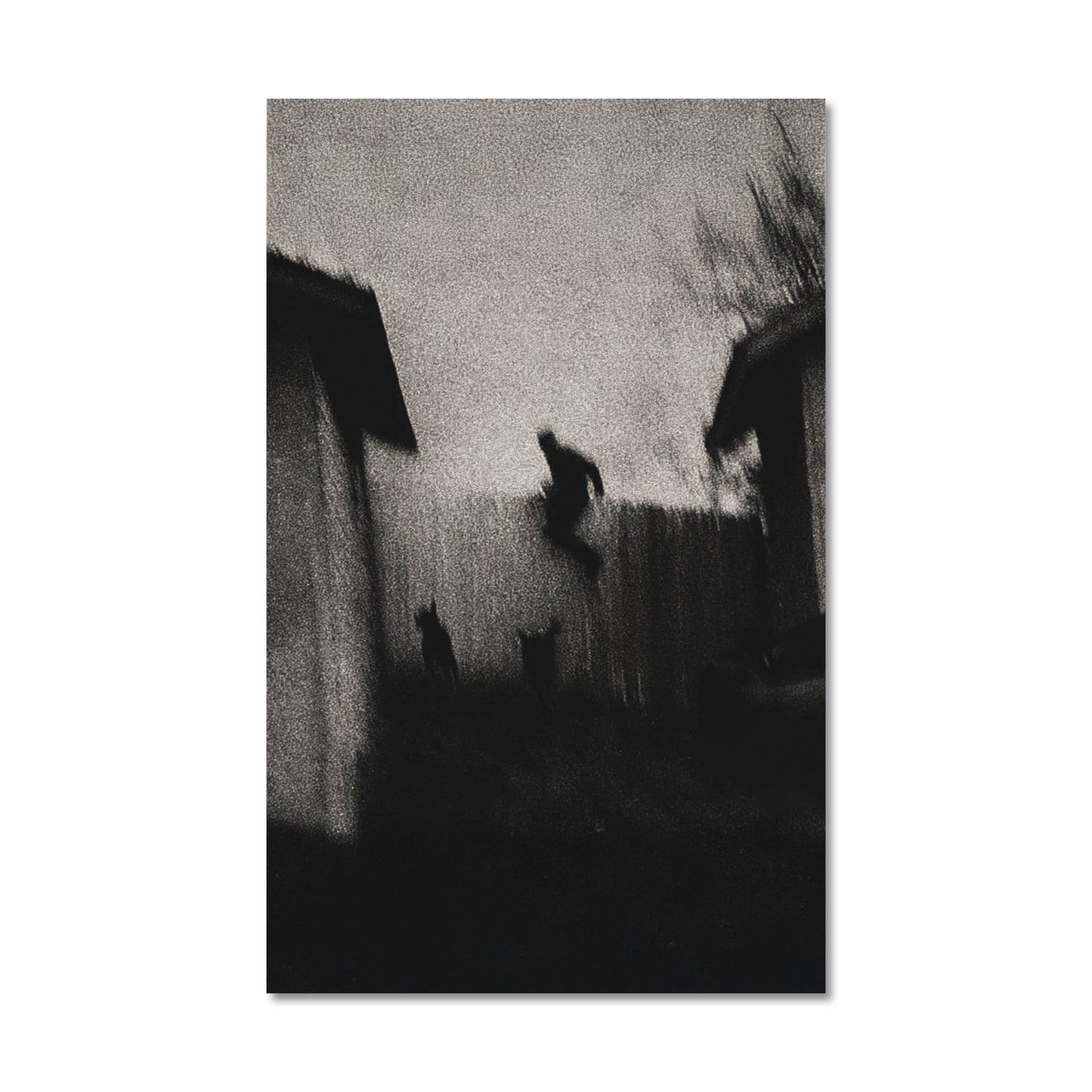 JACKBOYS 2 Poster Versili